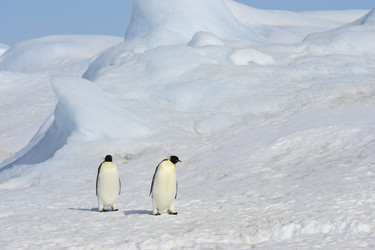 Similar image 13214636