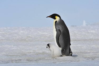 Similar image 13214697