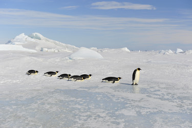 Similar image 13214177