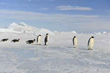 Similar image 13214179