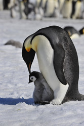 Similar image 13214235