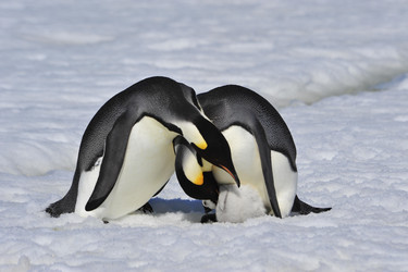 Similar image 13214254