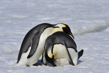 Similar image 13214255