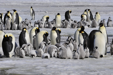 Similar image 13214878