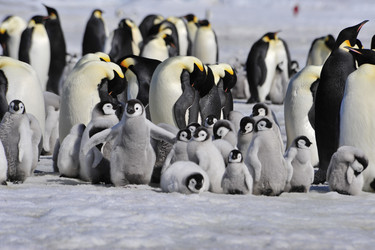 Similar image 13214320