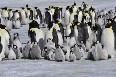 Similar image 13214362