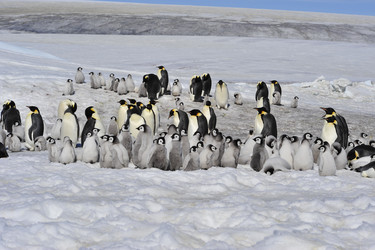 Similar image 13214422