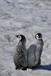 Similar image 13214424