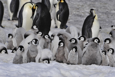 Similar image 13214481