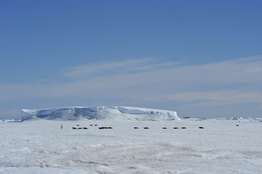 Similar image 13214540