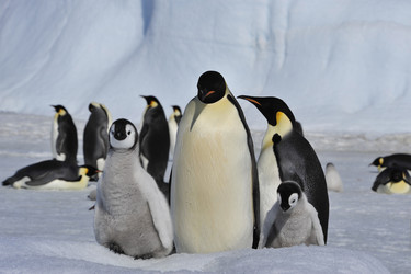 Similar image 13214683