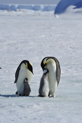 Similar image 13214341