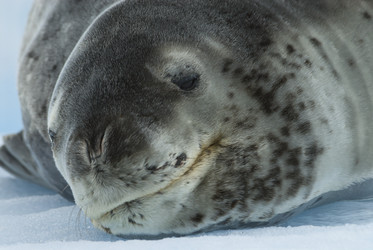 Similar image 13214223