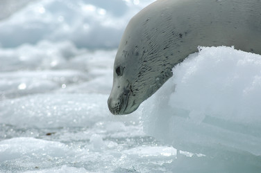 Similar image 13214883