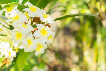 Similar image 13215945