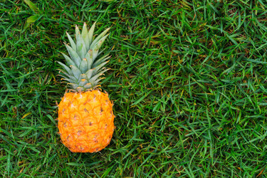 Similar image 13215963