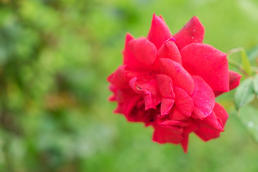 Similar image 13215983