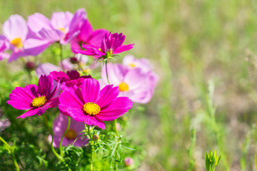 Similar image 13216102