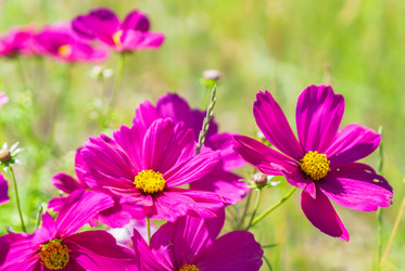 Similar image 13216122