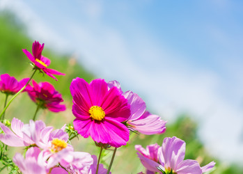 Similar image 13216142