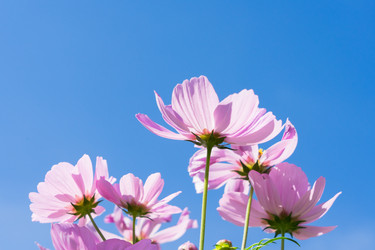 Similar image 13216143