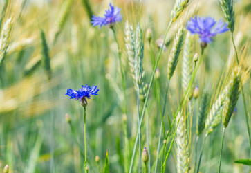 Similar image 13216184