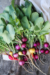 Similar image 13208620