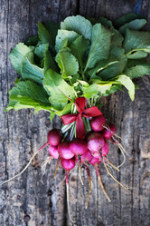 Similar image 13208621