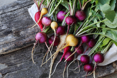 Similar image 13208578