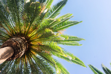 Similar image 13216961