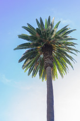 Similar image 13216962