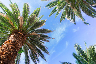 Similar image 13216963