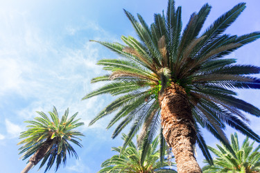 Similar image 13216964