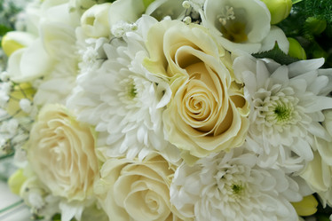 Similar image 13216945