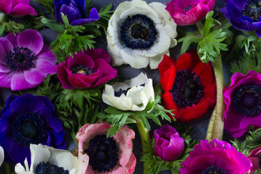 Similar image 13215749