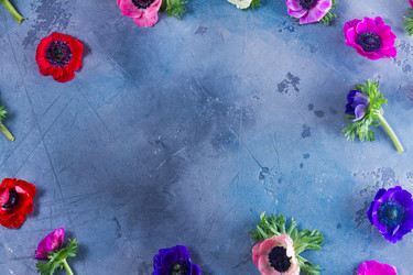 Similar image 13216595