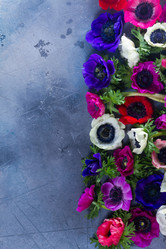 Similar image 13216596