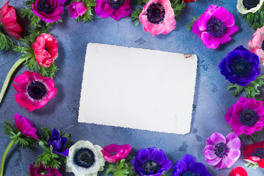 Similar image 13216671