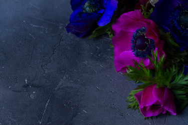 Similar image 13215923