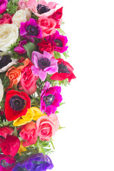 Similar image 13215946