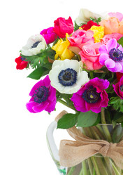 Similar image 13215947