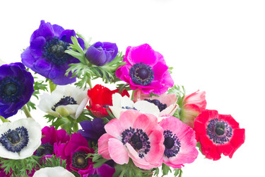 Similar image 13216024