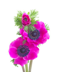 Similar image 13216025