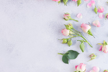 Similar image 13216880