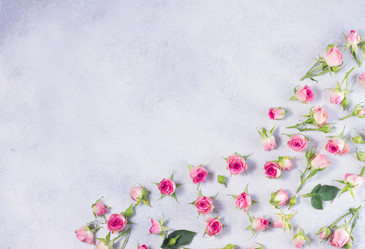 Similar image 13216947