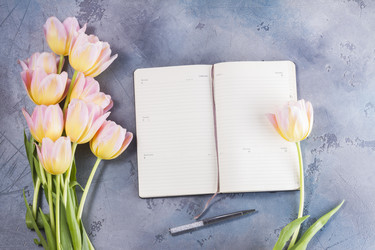 Similar image 13215909