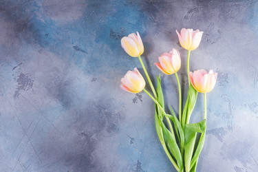 Similar image 13215924