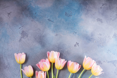 Similar image 13215925