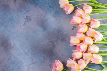 Similar image 13215949