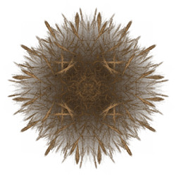 Similar image 13204210